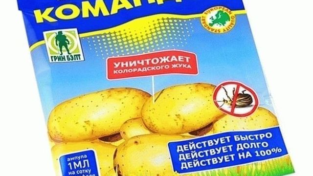 Инсектицид Командор – препарат для обработки клубней картофеля