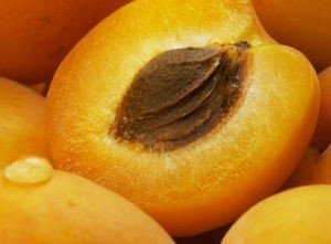 Косточки семена абрикос персик