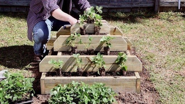 Как сделать грядку-пирамиду для клубники своими руками, размеры и выращивание
