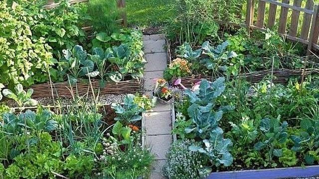 Как сделать красивый дизайн огорода своими руками