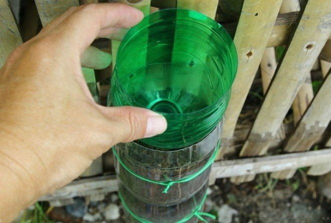 Ловушка для комаров из пластиковой бутылки