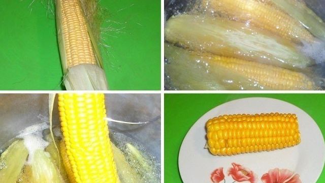 Как варить кукурузу в початках — в кастрюле, мультиварке, микроволновке и пароварке-скороварке