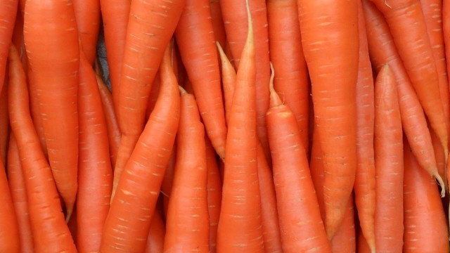 Как закопать морковь в землю на зиму