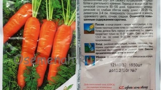 Морковь Лосиноостровская 13: описание, отзывы, фото и советы по выращиванию