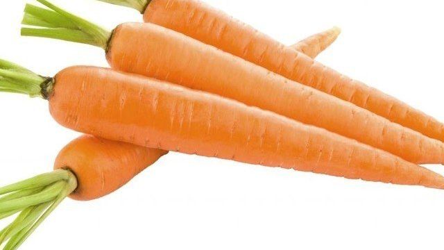 Морковь: семейство, особенности растения, значение в природе и жизни человека