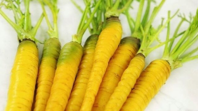 Желтая морковь: разновидности и их характеристики