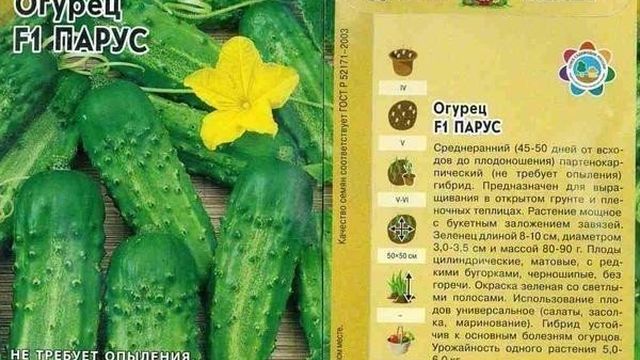 Самоопыляемые сорта огурцов для теплицы: ранние семена как опылять, высокоурожайное опыление парников на Украине
