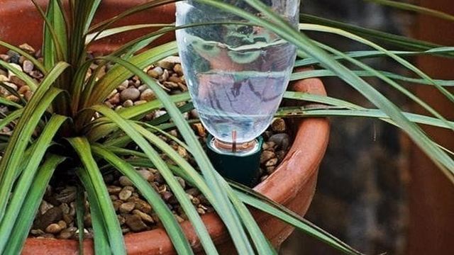Автополив для комнатных растений своими руками из пластиковых бутылок