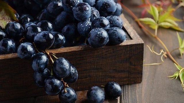 Черный виноград: ТОП-10 популярных сортов, описание, фото