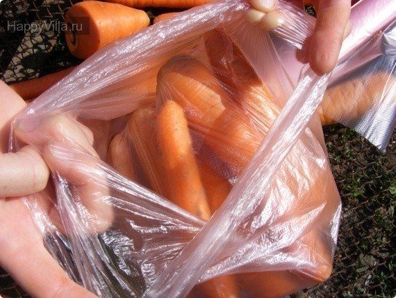 Картофель морковь лук очищенный в вакууме