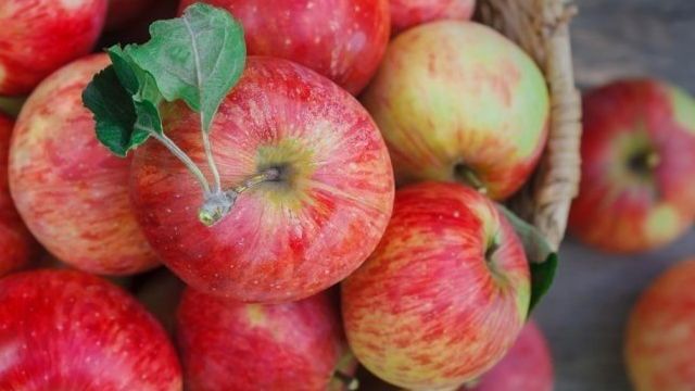 Яблоки в духовке и не только — как сушить на зиму в домашних условиях, как сделать сухофрукты