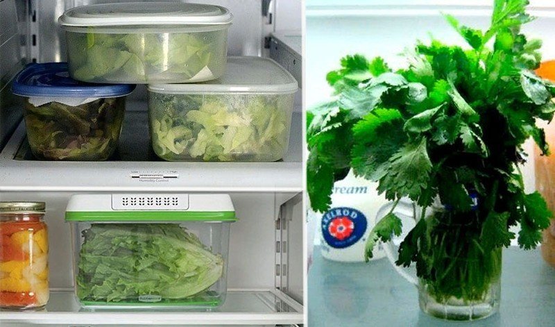 Зелень в банках в холодильнике