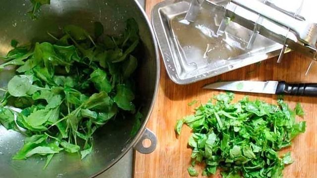 Как правильно заготовить рукколу на зиму и сохранить витамины
