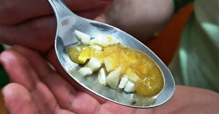 От чего помогает чеснок с медом на голодный желудок
